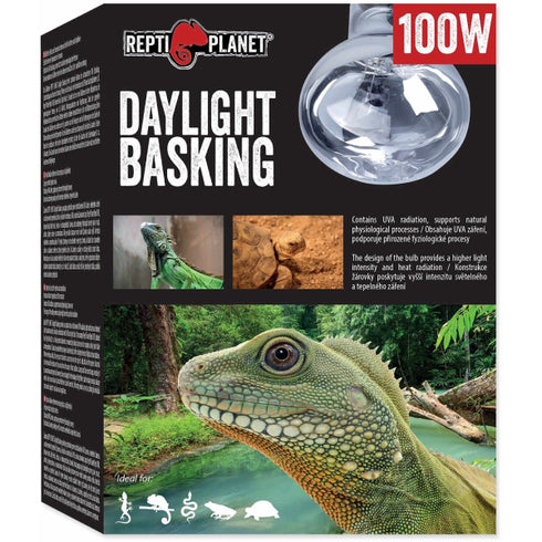 Bec pentru terariu ReptiPlanet Daylight Basking Spot 100W